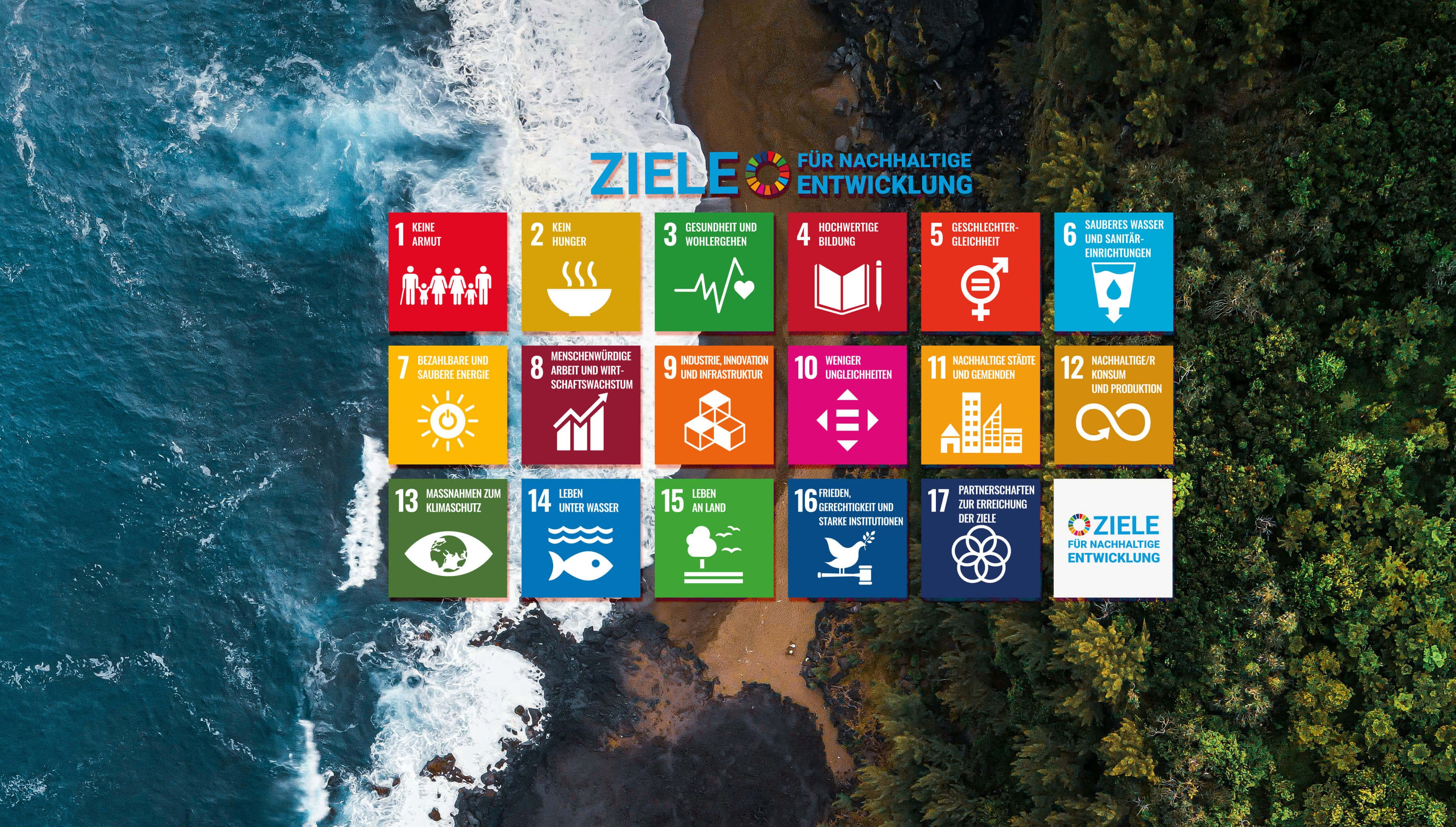 hero_sdg_webinare_swisspeers