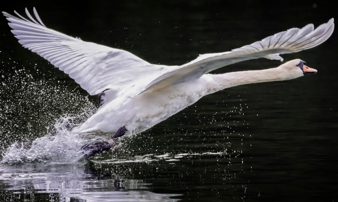 Direct Lending hebt ab 2025