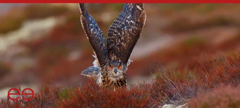 20160701 Blog hubspot